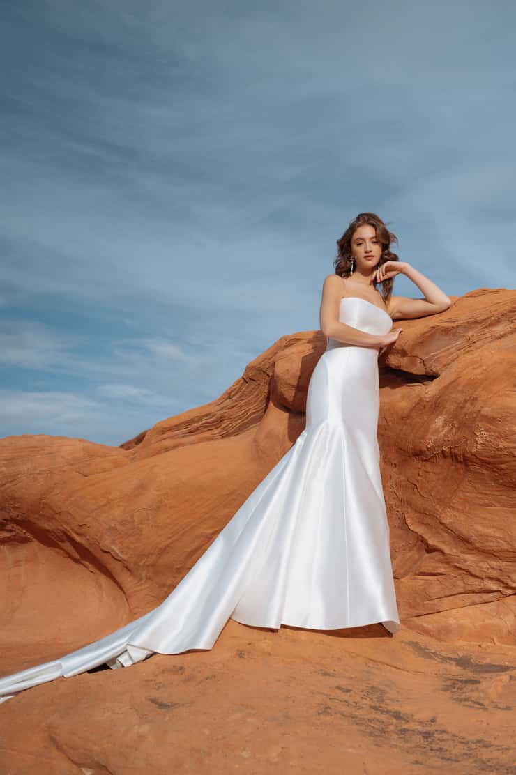 ★BAU by Bride And You★BELLAMY chiffon sleeveless dress★ Bellamy by Jenny Yoo | Shop Online Now