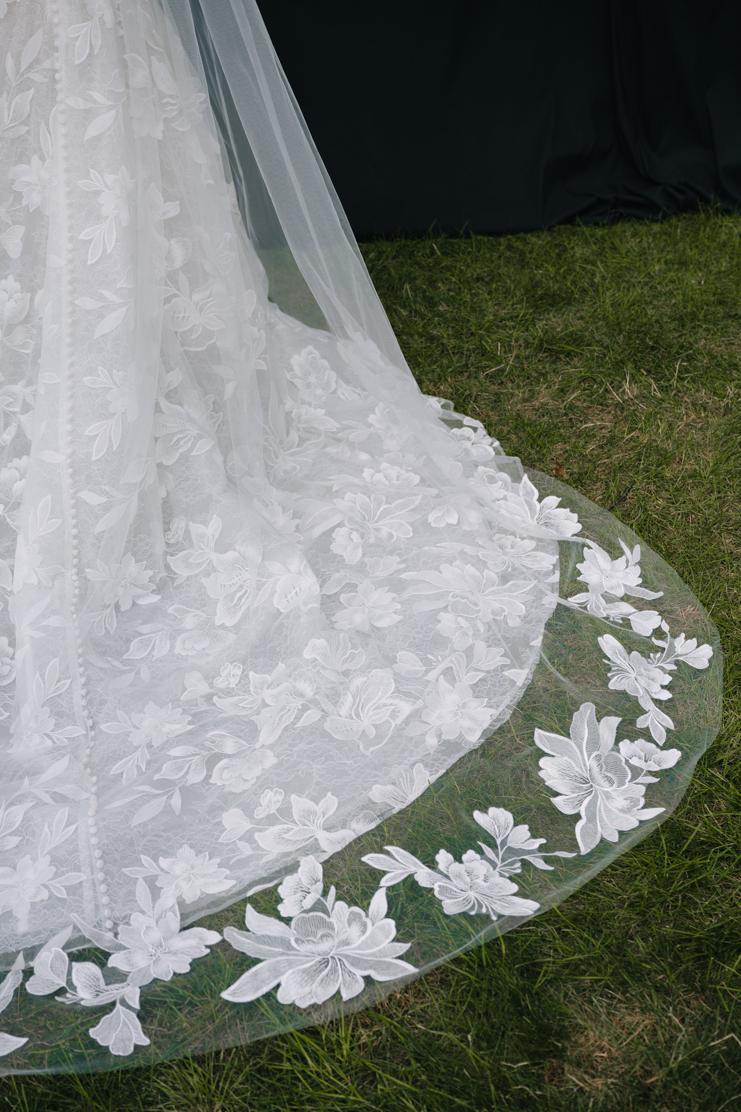 Gwendolyn Veil by Jenny Yoo